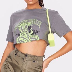 Pretty Little Thing gray cropped graphic tee shirt